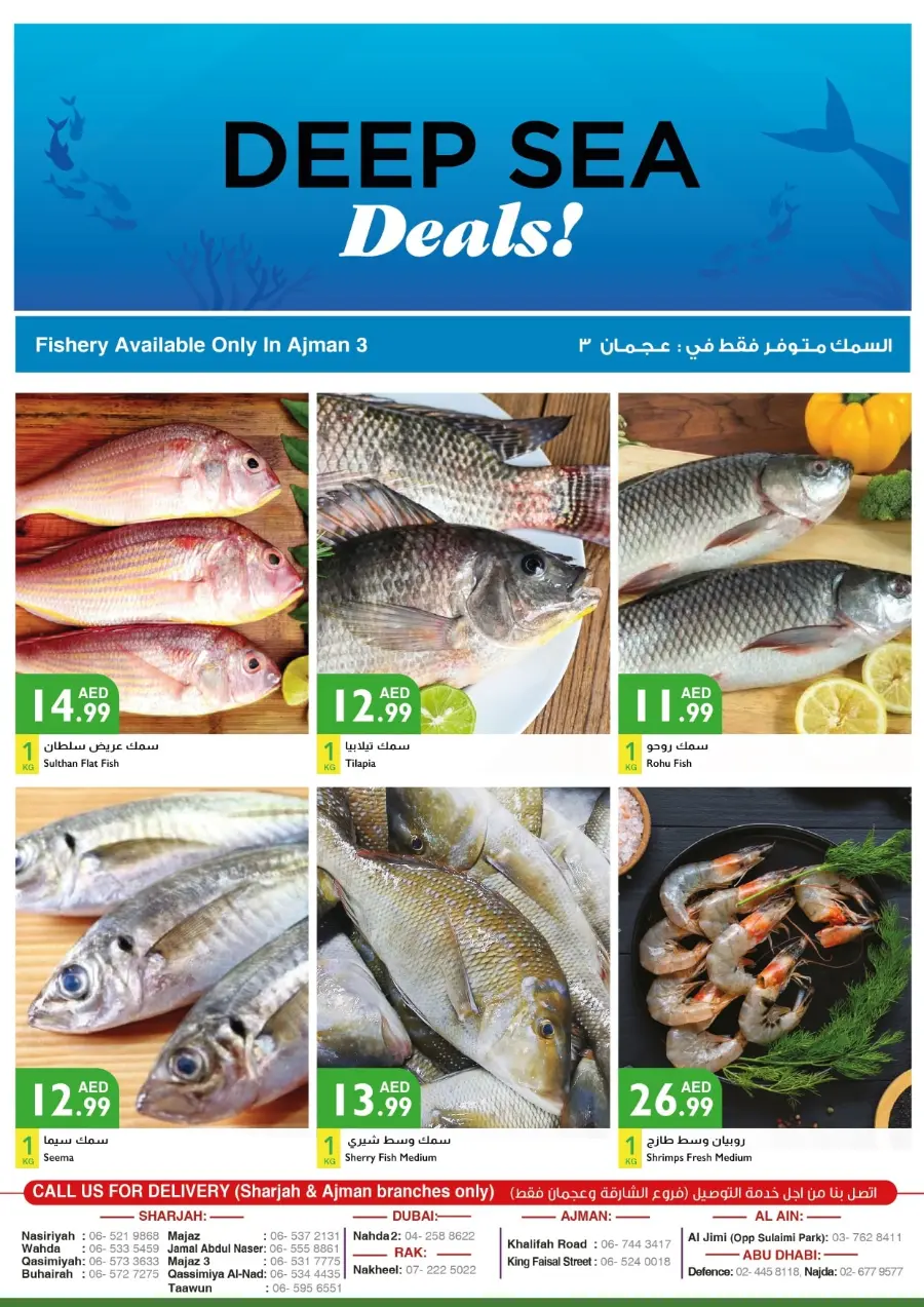 Fresh Deal In Istanbul Supermarket Ras al Khaimah