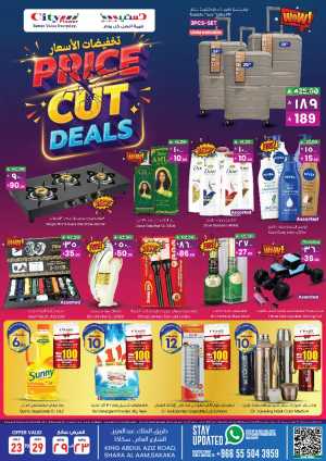 Price cut deals In City flower Sakaka