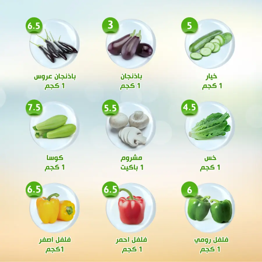 Offers In Al Nahda Masriya Abu Dhabi