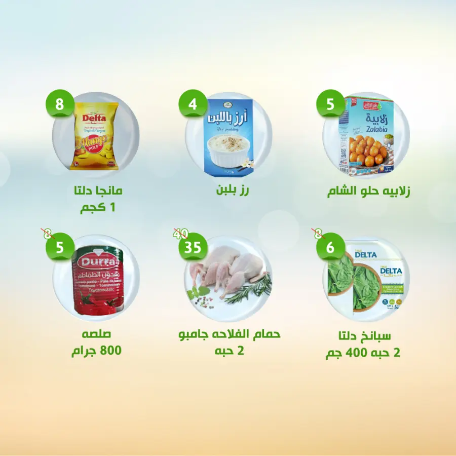 Offers In Al Nahda Masriya Abu Dhabi