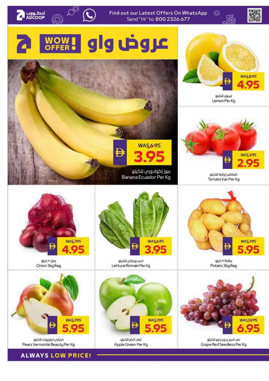 Big Savings In Megamart Dubai