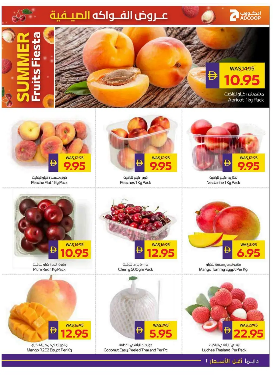 Big Savings In Megamart Dubai