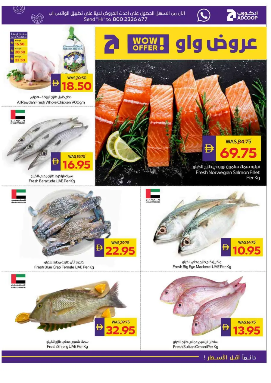 Big Savings In Megamart Dubai