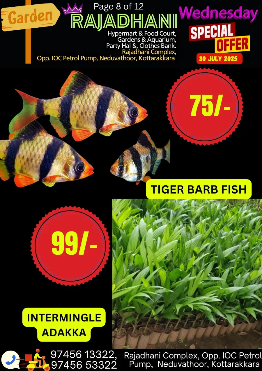 Special Offer In Rajadhani Hypermart Kollam
