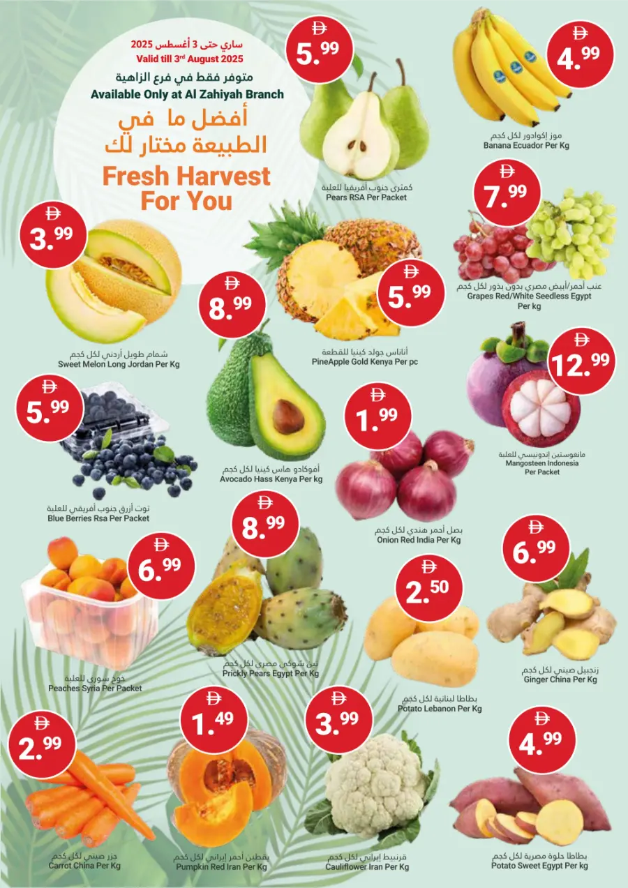 Summer Saver In Grand Emirates Market Abu Dhabi