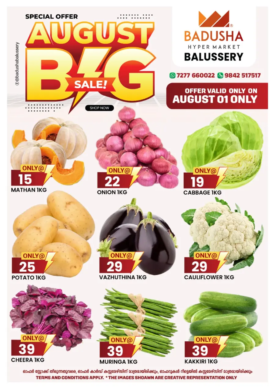 August Big Sale In Badusha Hypermarket undefined