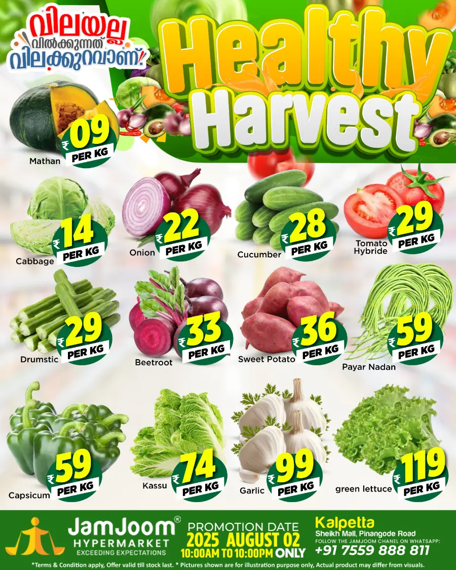 Healthy harvest In JamJoom Hypermarket undefined