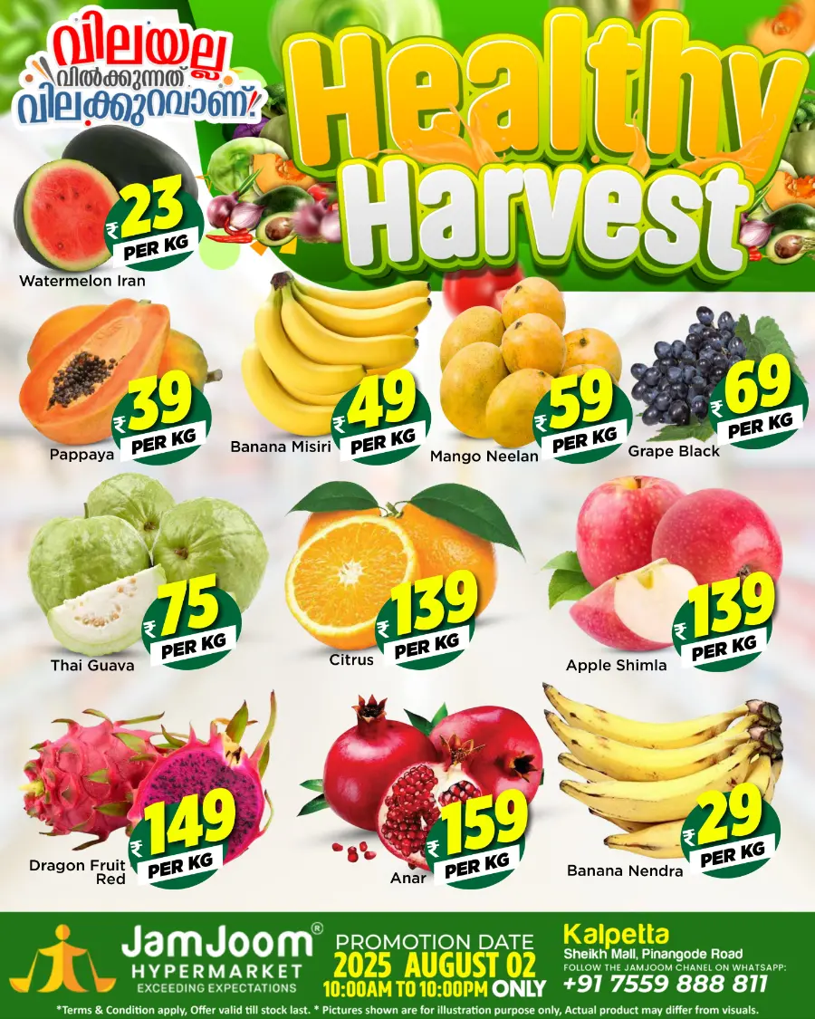 Healthy harvest In JamJoom Hypermarket undefined