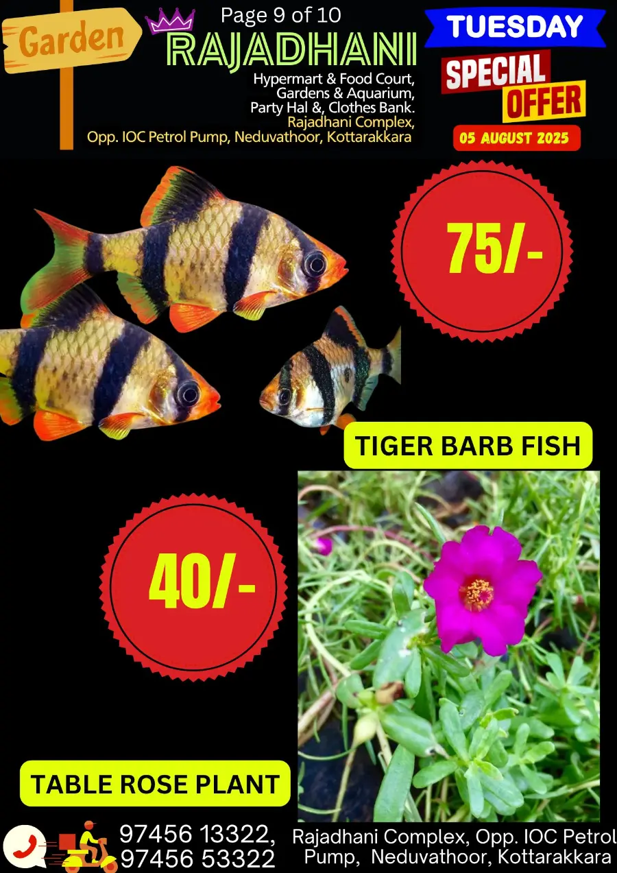 Special Offer In Rajadhani Hypermart undefined