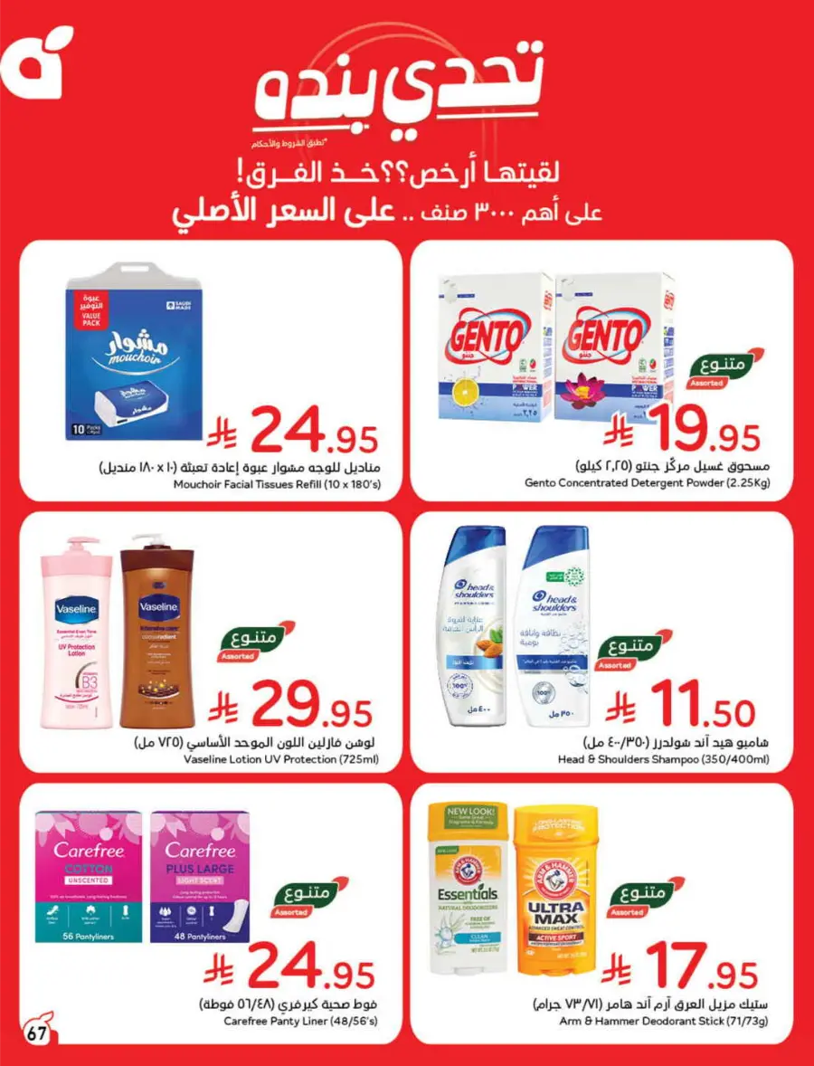 Back to School Deals – Big Savings Await! In Panda Hypermarket Hail