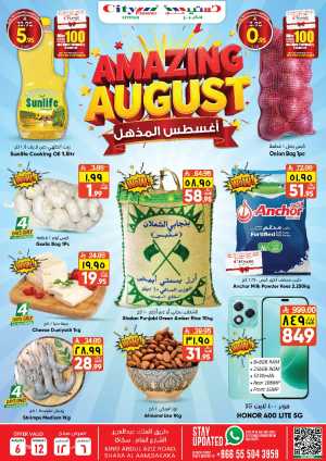 Amazing august In City flower Sakaka