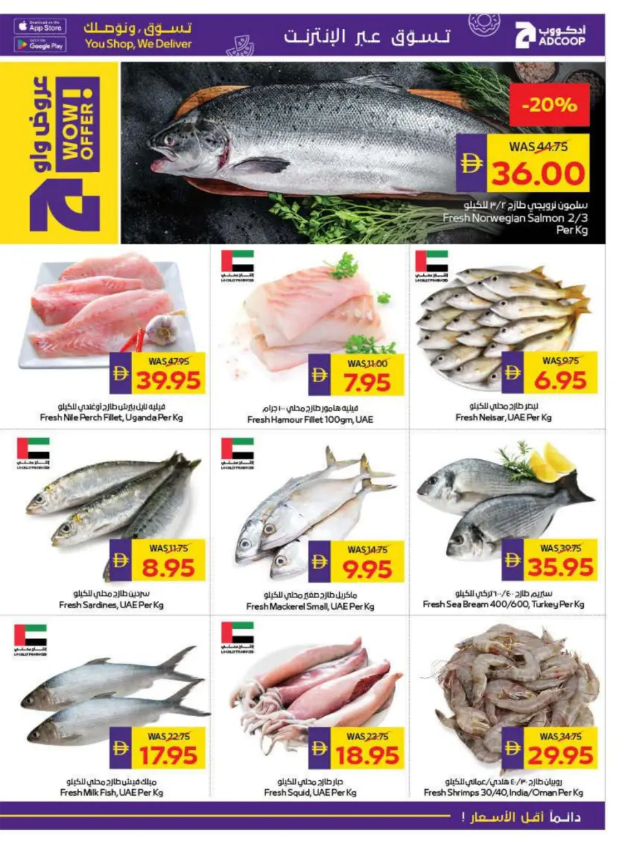 AED 50 Cashback – Back to School Special In Megamart Dubai