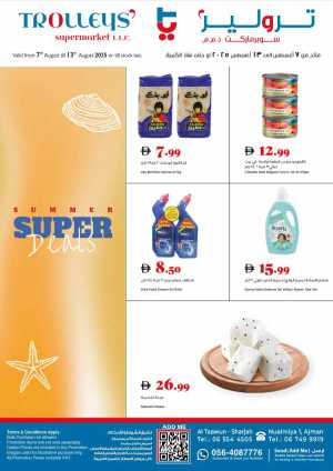 SUMMER Super Deals In Trolleys Supermarket Dubai,Sharjah / Ajman