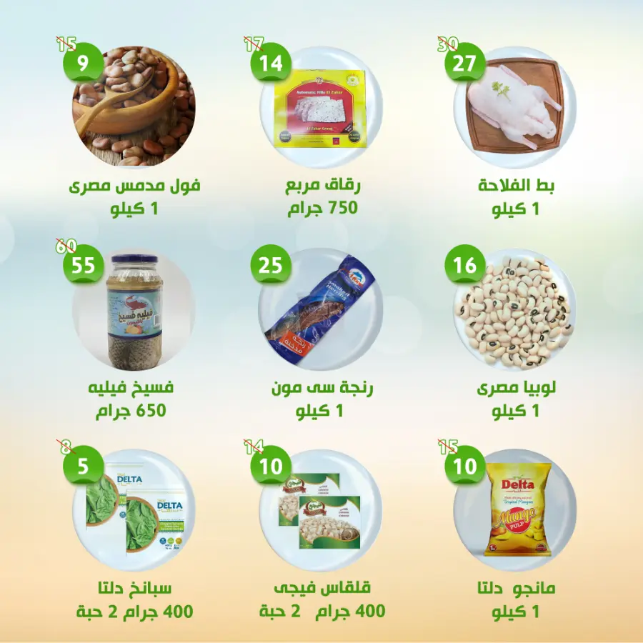 offer In Al Nahda Masriya Abu Dhabi