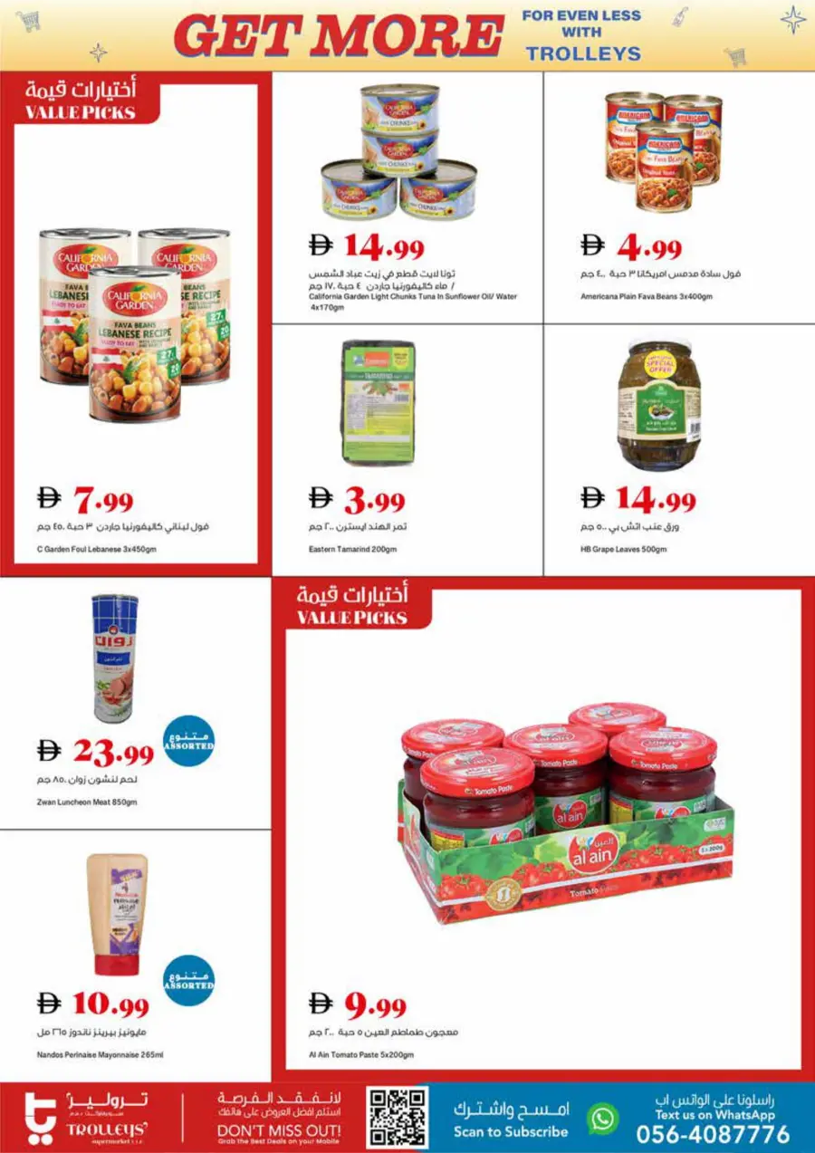 Weekly Best Offers In Trolleys Supermarket Dubai