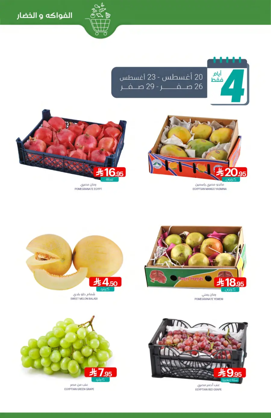 Weekly Best Back to School Offers & Deals In Muntazah undefined