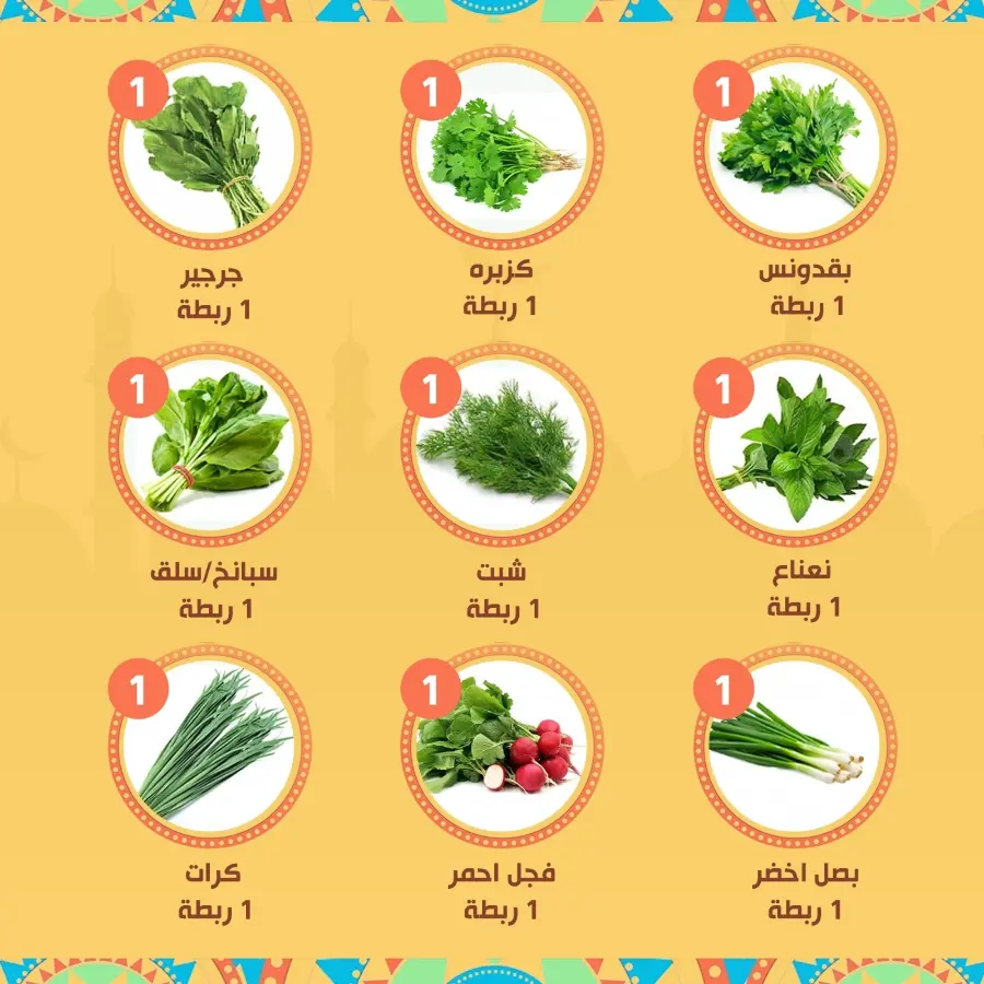 Offers In Al Nahda Masriya Abu Dhabi