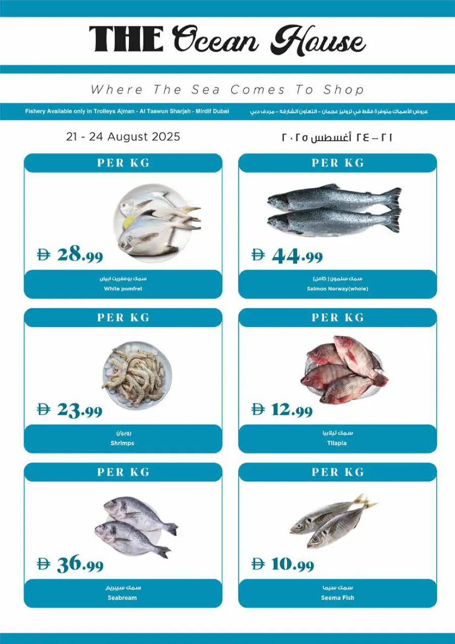 Back to School Sale – Limited-Time Offers In Trolleys Supermarket Dubai