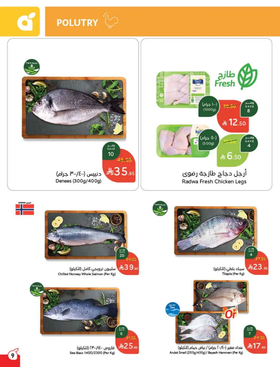 Back to School Offers – Best Deals Inside In Panda Hypermarket Riyadh