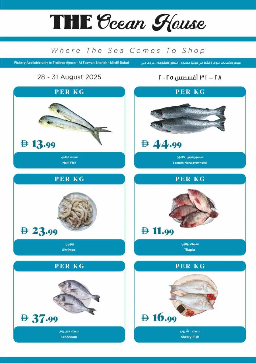 Back to School Deals – Big Savings Await! In Trolleys Supermarket Dubai