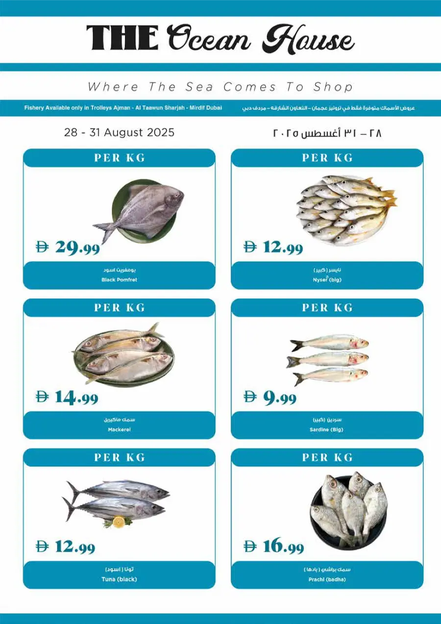 Back to School Deals – Big Savings Await! In Trolleys Supermarket Dubai