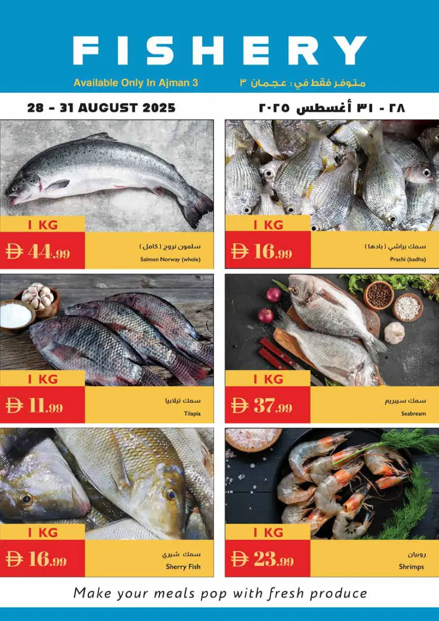 Hello school In Istanbul Supermarket Ras al Khaimah