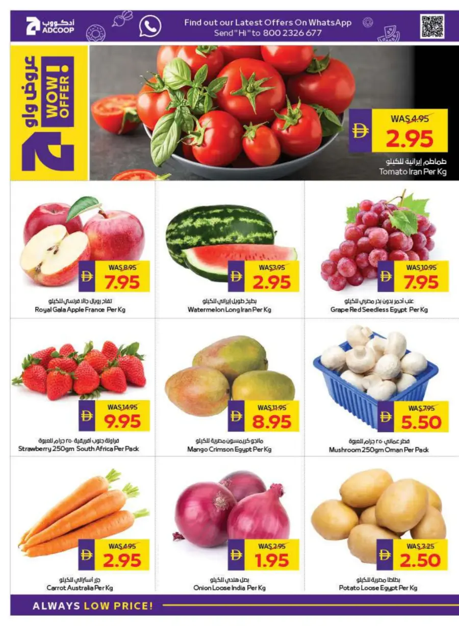 Back to School Deals – Get AED 50 Cashback In Megamart Dubai