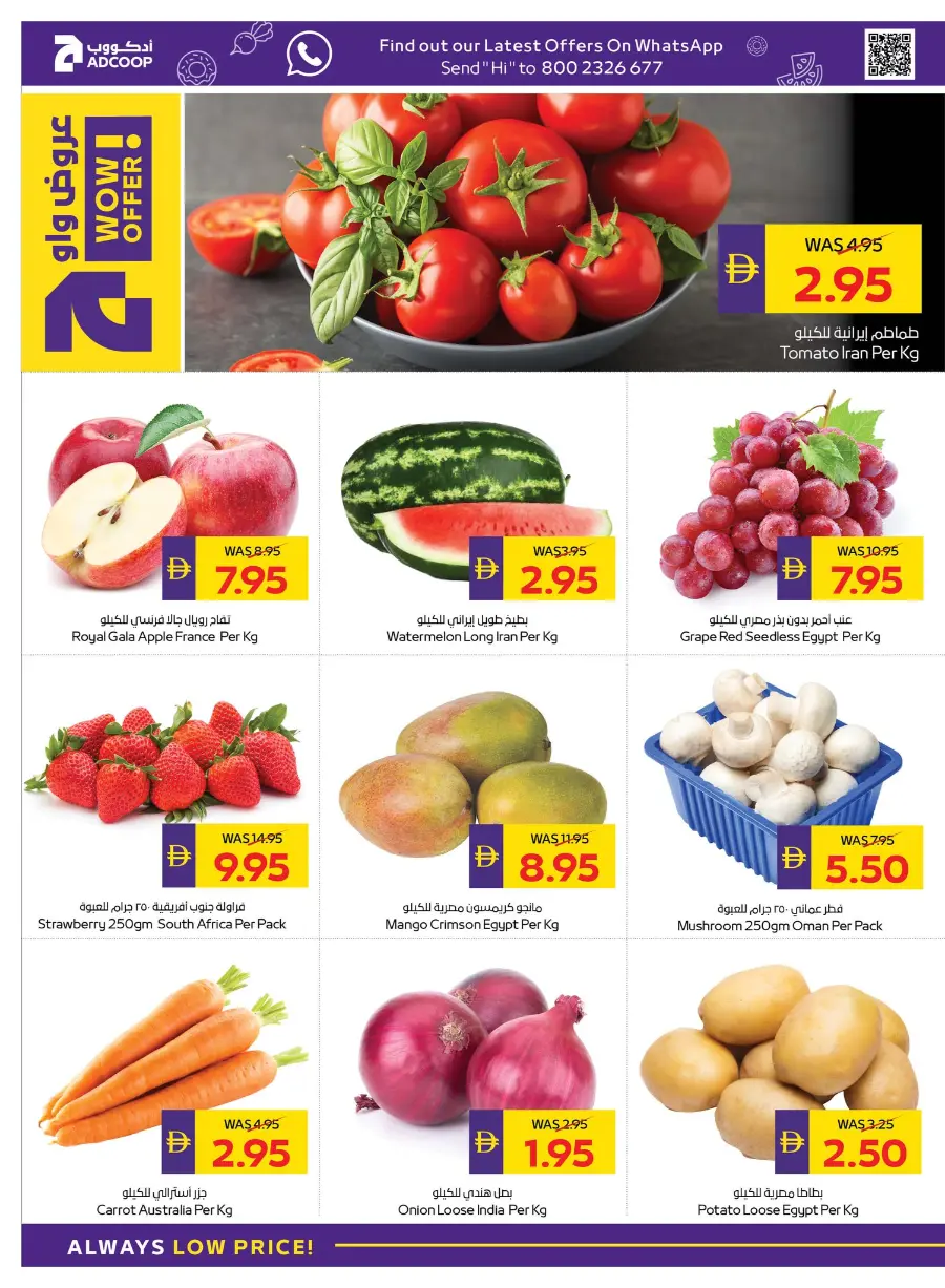 Back to School Offers – Best Deals Inside In Abu Dhabi COOP Dubai