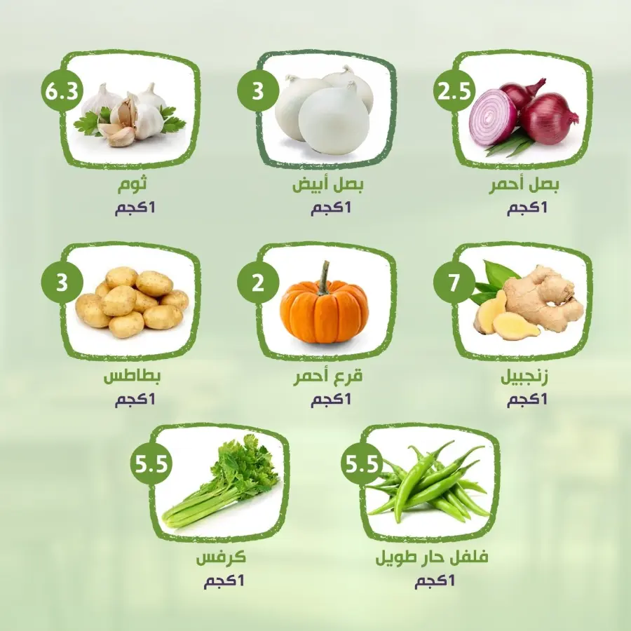 Back to School Offers – Best Deals Inside In Al Nahda Masriya Abu Dhabi