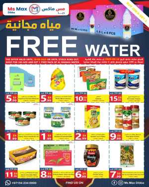 Offer In Ms max Fujairah