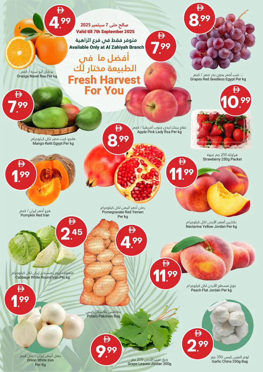 Grand savings In Grand Emirates Market Abu Dhabi
