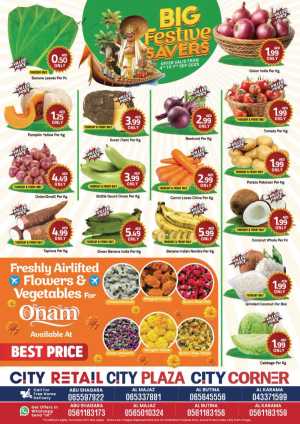 Big festive Savers In City Retail Dubai,Sharjah / Ajman