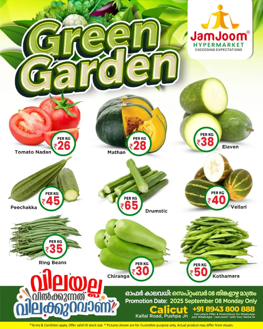 Green garden In JamJoom Hypermarket Calicut