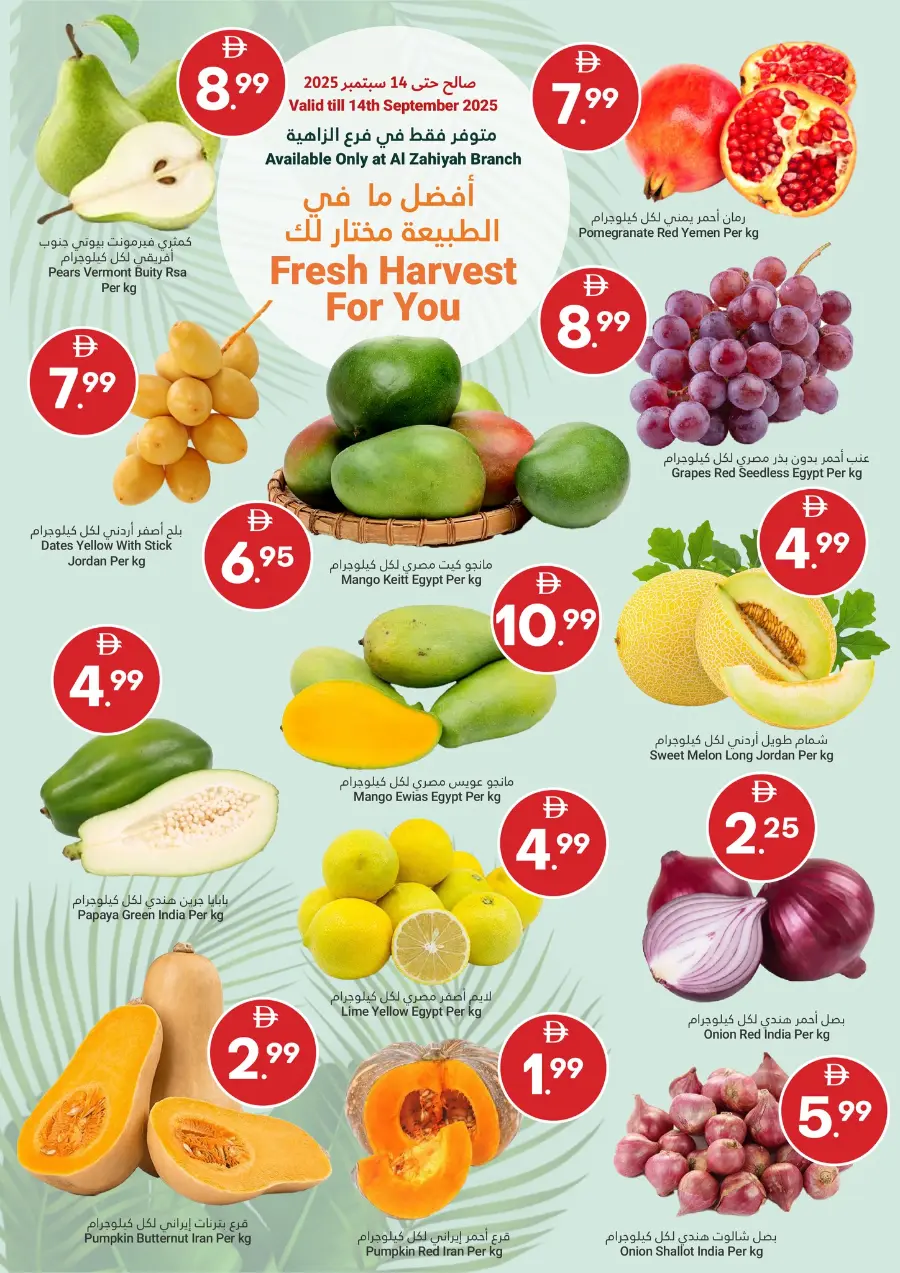 Grand Savings In Grand Emirates Market Abu Dhabi