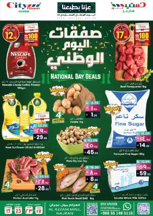 National Day Deals In City flower Najran
