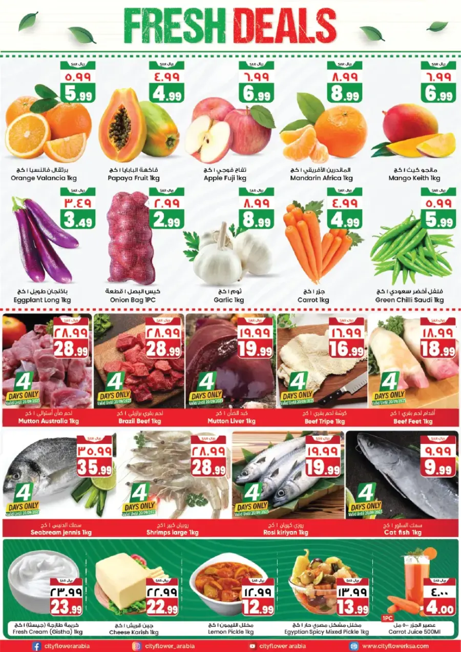 National Day Deals In City flower Sakaka