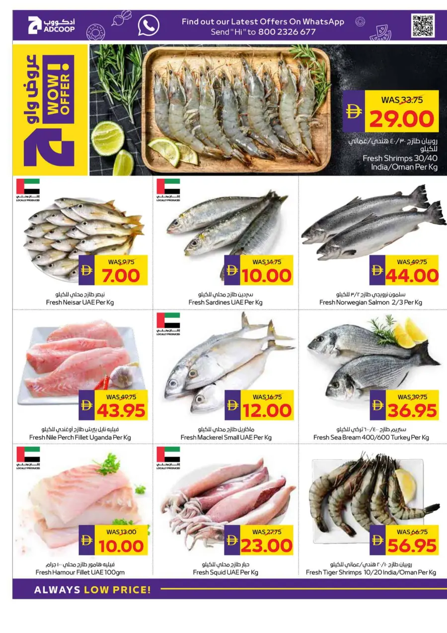 Big Buy, Big Savings In Megamart Sharjah / Ajman