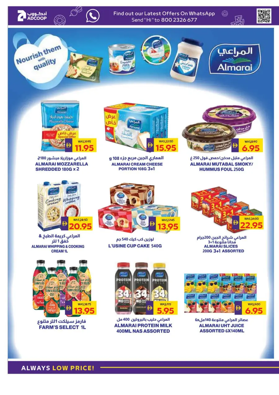 Big Buy, Big Savings In Megamart Sharjah / Ajman