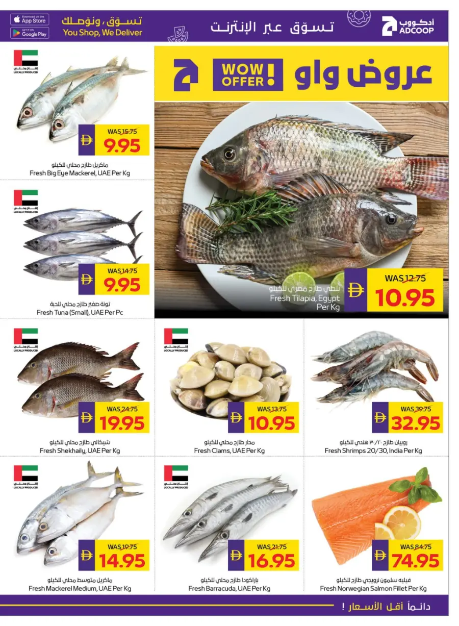 Big Savings – Shop Now & Save In Abu Dhabi Coop Umm al Quwain