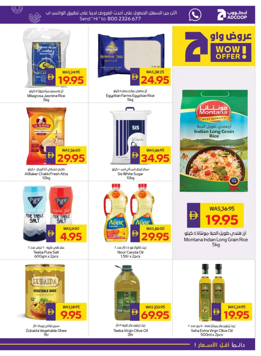 Big Savings – Shop Now & Save In Abu Dhabi Coop Umm al Quwain