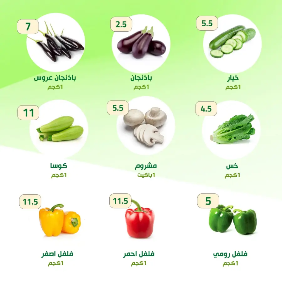 Weekly Offers In Al Nahda Masriya Abu Dhabi