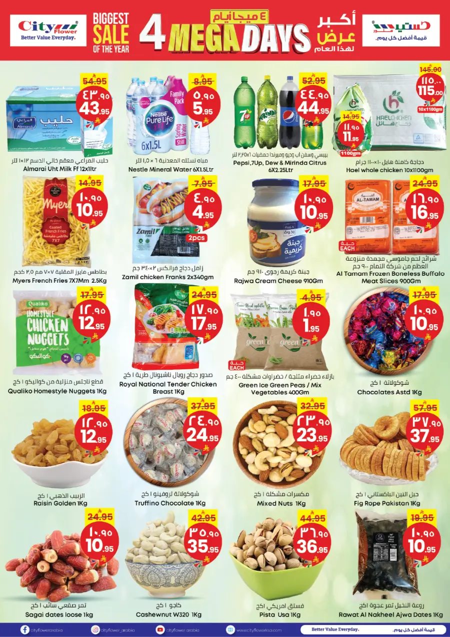 4 Mega Days In City flower Najran