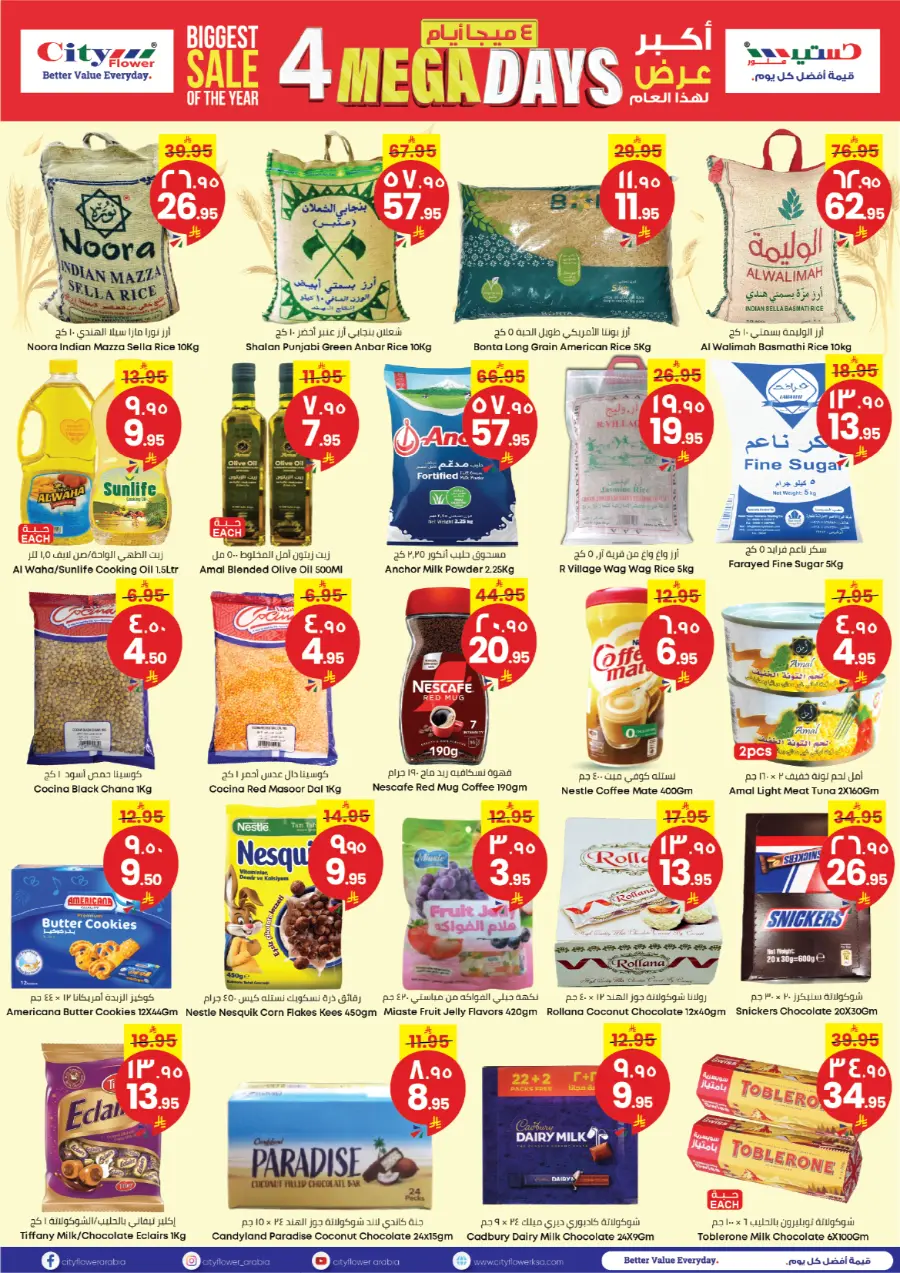 4 Mega Days In City flower Najran