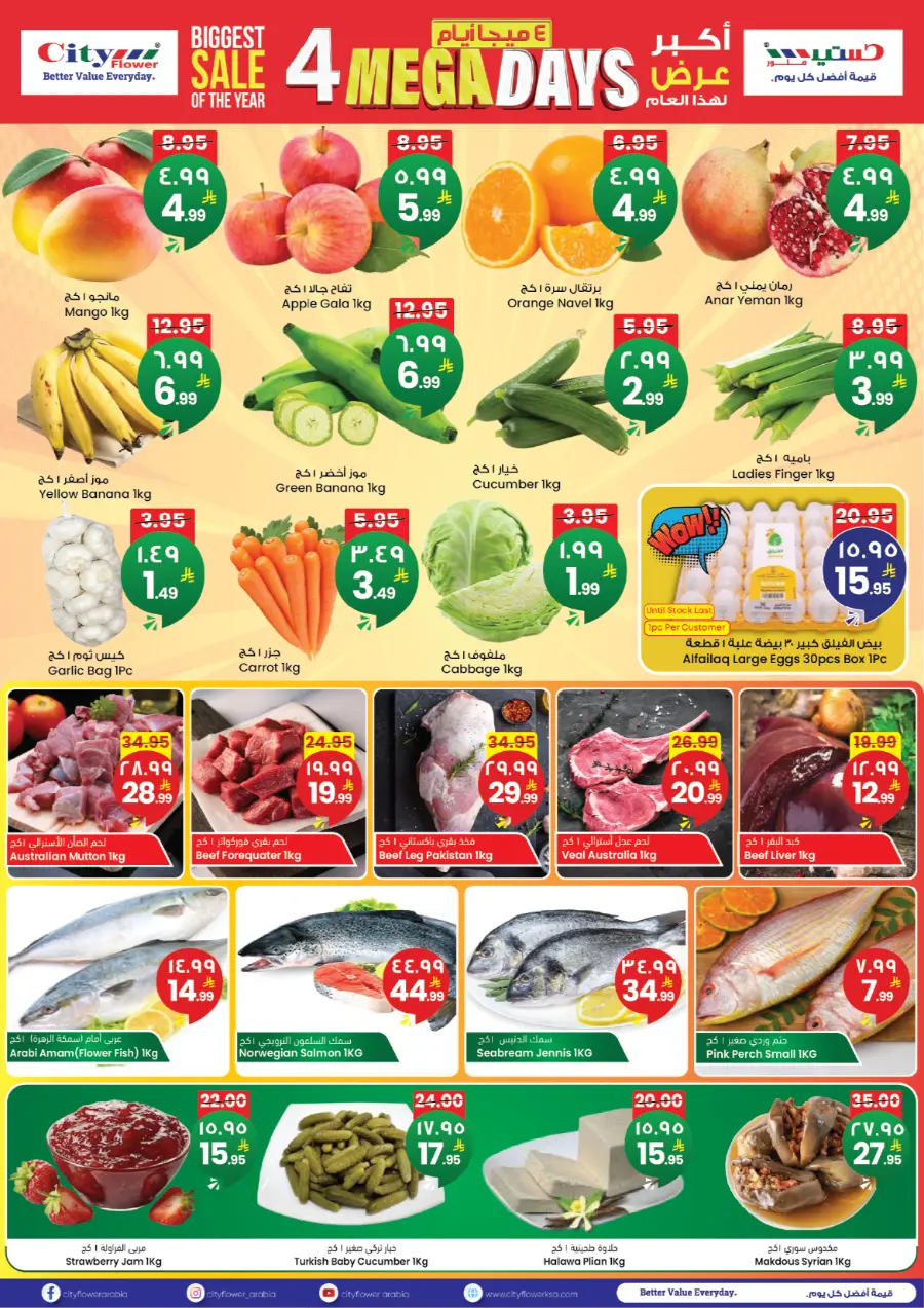 4 Mega Days In City flower Najran