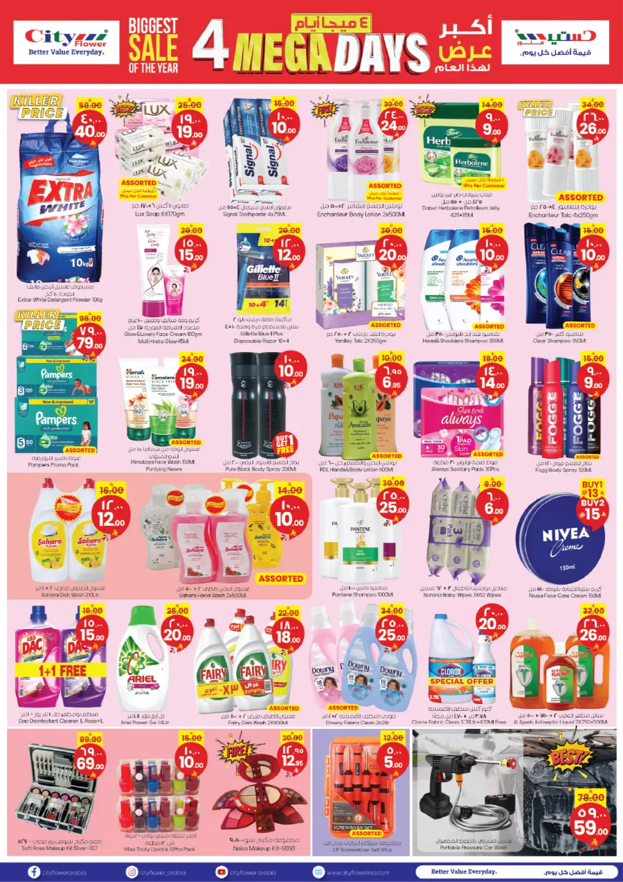 4 Mega Days In City flower Najran