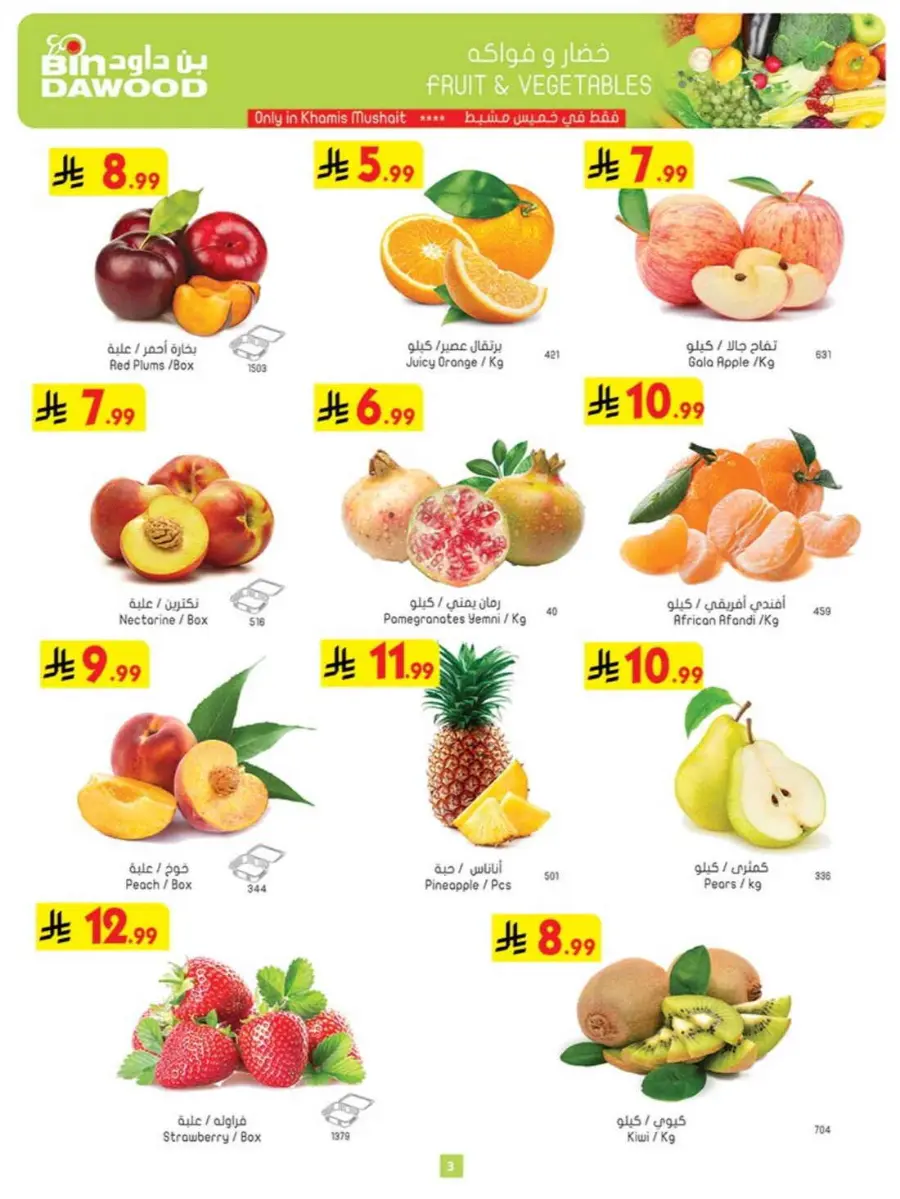 Tea & biscut festival In Bin Dawood Khamis Mushait