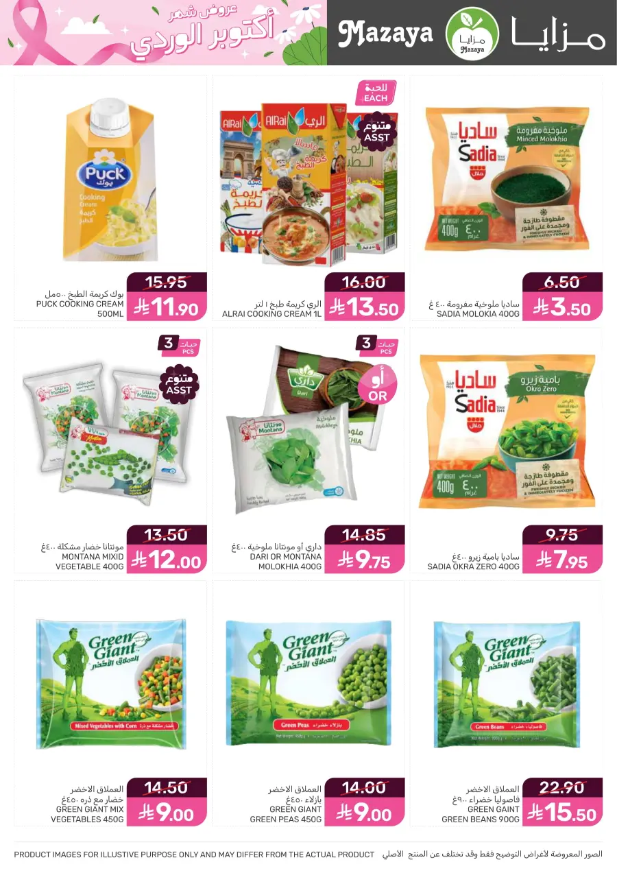 Offers In Mazaya Jubail