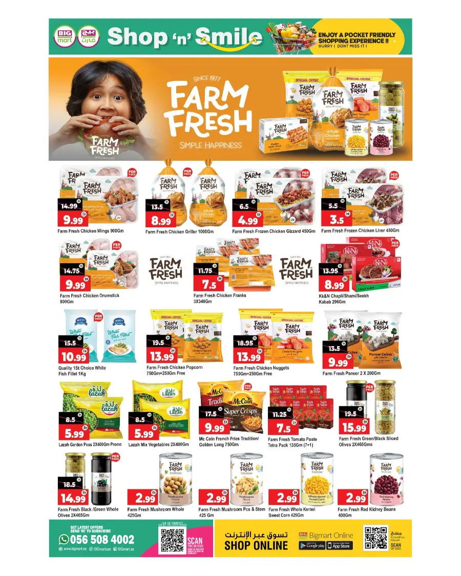 Shop in smile In BIG mart Dubai