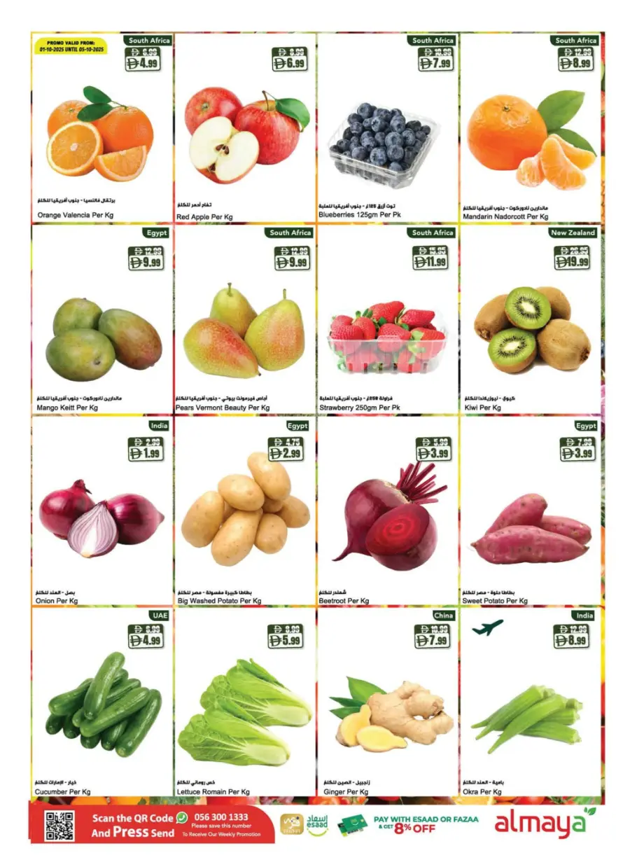 Special Offer In Al Maya Dubai