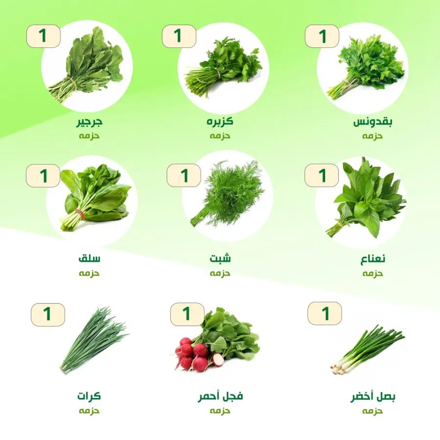 Offers In Al Nahda Masriya Abu Dhabi